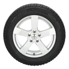 Шины Michelin Agilis Alpin в Москве